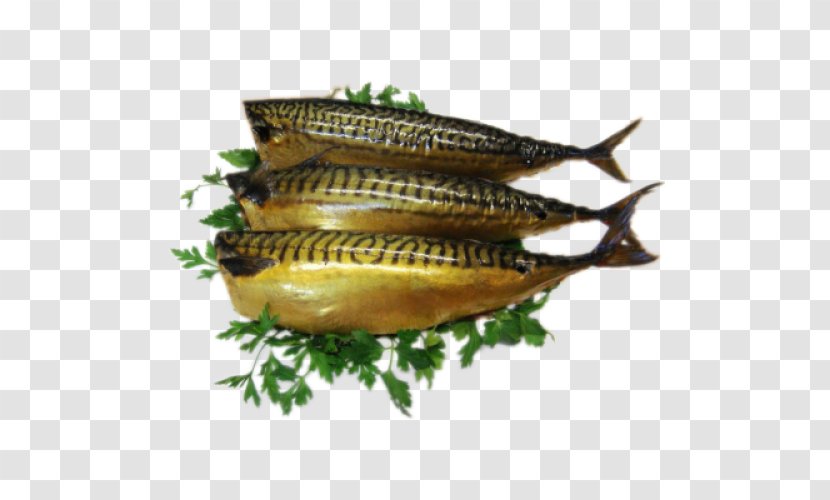 Kipper Atlantic Mackerel Oily Fish - Products Transparent PNG