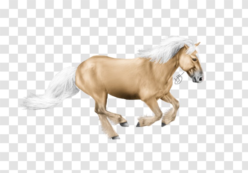 Mane Mustang Stallion Foal Pony - Tail Transparent PNG