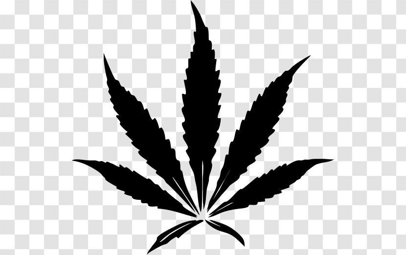 Cannabis Sativa Drawing Leaf Kush - Smoking Transparent PNG