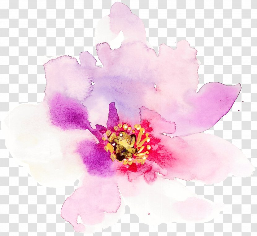 Watercolor Flower Background - Painting - Wildflower Magenta Transparent PNG