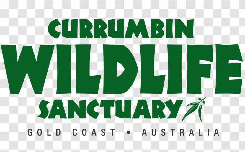 Currumbin Wildlife Sanctuary Sea World Gold Coast Dreamworld Refuge - Tourism - Treetop Transparent PNG