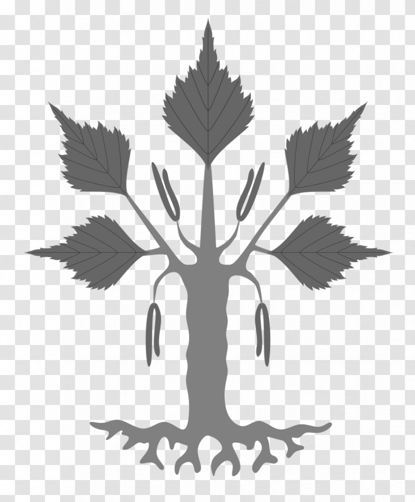 Heraldry Sweden Tree Coat Of Arms Oak - Wing - Betula Pendula Transparent PNG