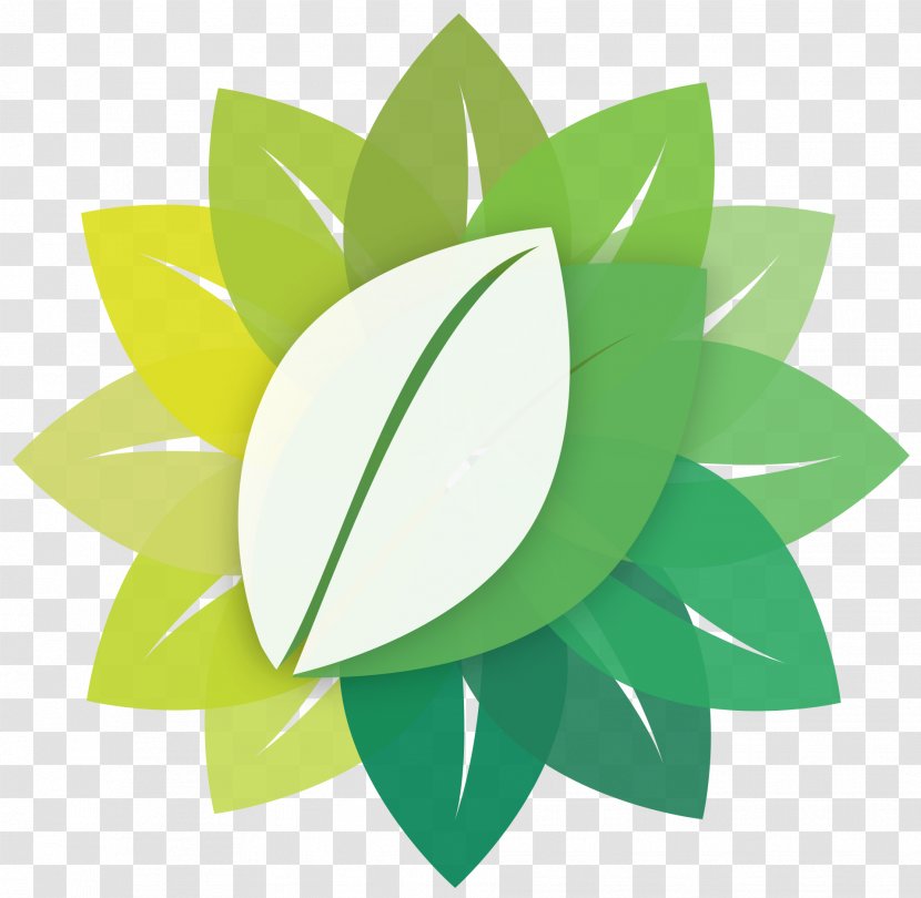 Leaf Foliar Feeding Fertilisers Agriculture Potassium - Green Transparent PNG
