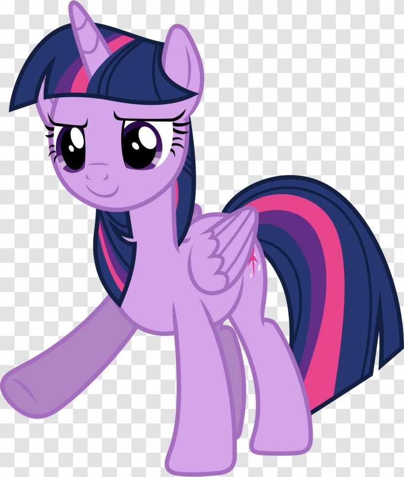 Twilight Sparkle Rainbow Dash Rarity The Saga My Little Pony Transparent PNG