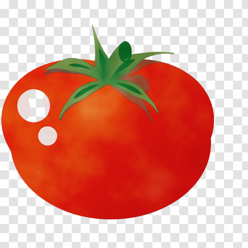Tomato - Plum - Orange Transparent PNG