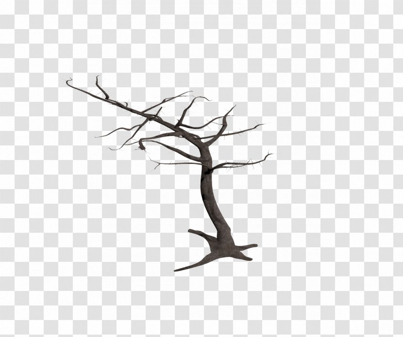 Tree Snag Branch Bark - Wound Transparent PNG