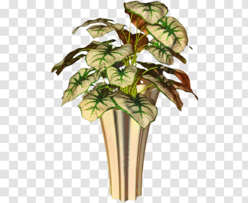 Flowerpot Leaf Houseplant Plant Stem Tree Transparent PNG