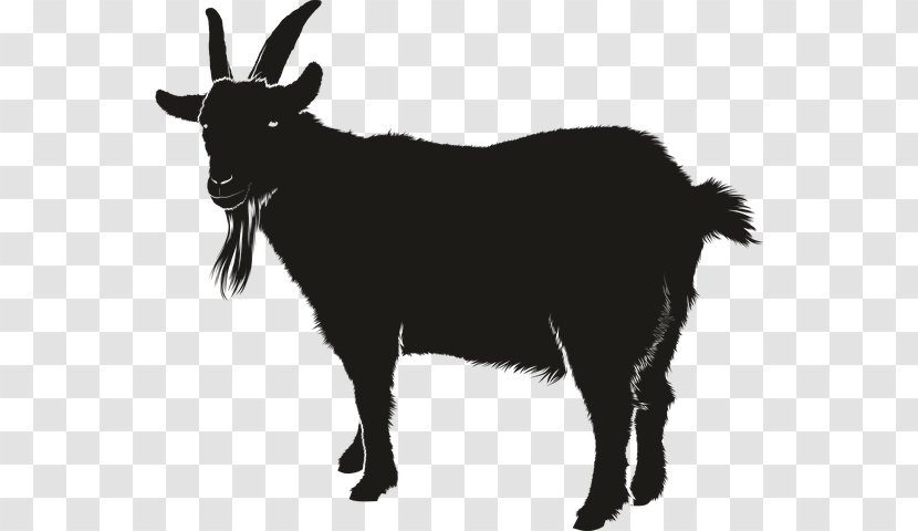 Boer Goat Black Bengal Vector Graphics Clip Art Silhouette - Yak Transparent PNG