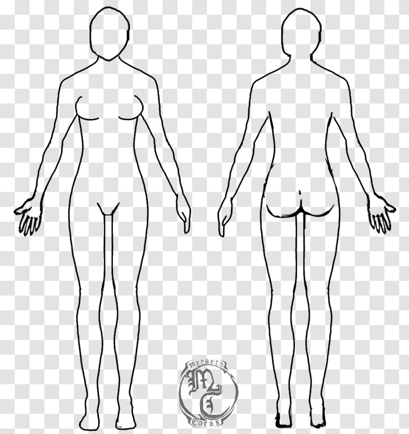 Female Body Shape Human Diagram Drawing Woman - Tree - Family Linear Fashion Figures Transparent PNG