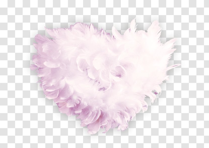 Fur Feather Petal Pink - Love Transparent PNG