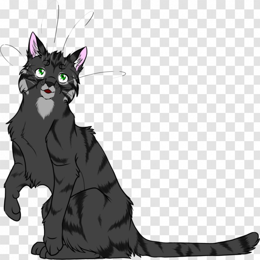 Kitten Whiskers Black Cat Warriors - Domestic Short Haired Transparent PNG
