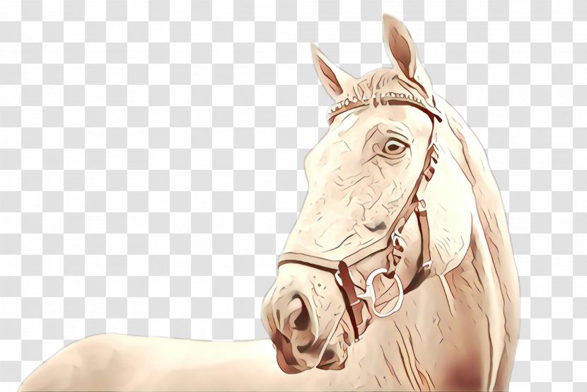 Horse Bridle Head Drawing Mane - Rein Tack Transparent PNG