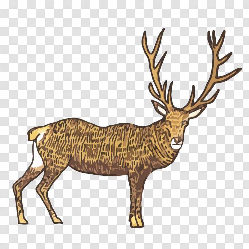 Reindeer Drawing Fine Art - Tree - Noble Vector Transparent PNG