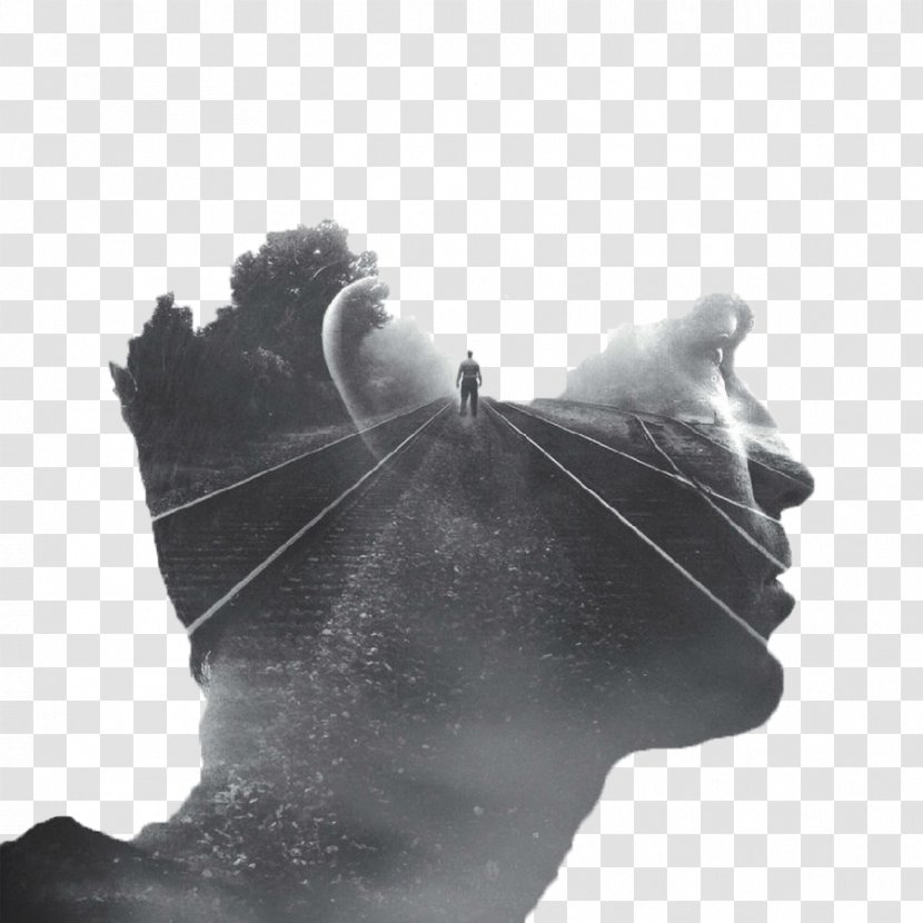 Visual Arts Multiple Exposure Photography Portrait - Architectural - Human Face Transparent PNG