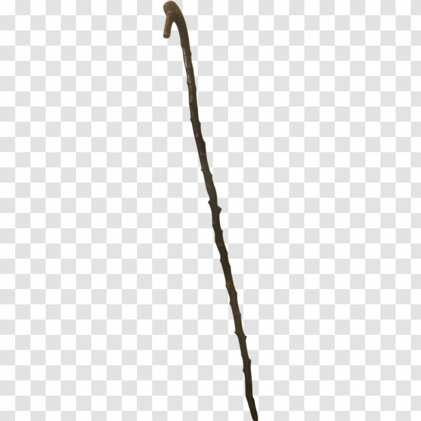 Branch Twig Tree Plant Stem - Sticks Transparent PNG