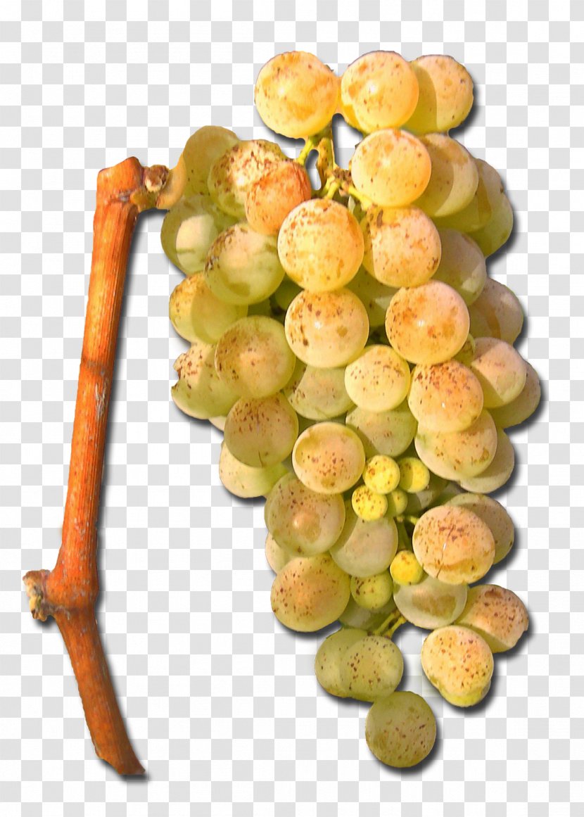 Sultana Seedless Fruit Grape Natural Foods Superfood Transparent PNG