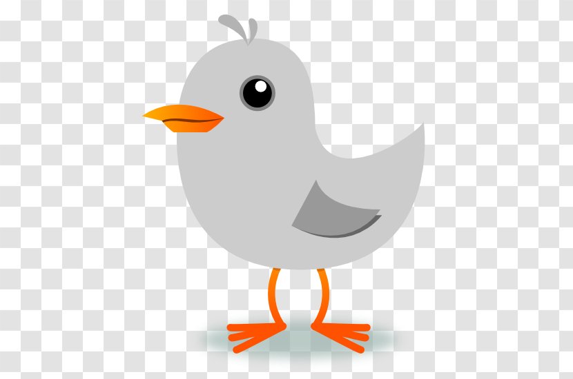 Download Clip Art - Document - Peace Pigeon Transparent PNG