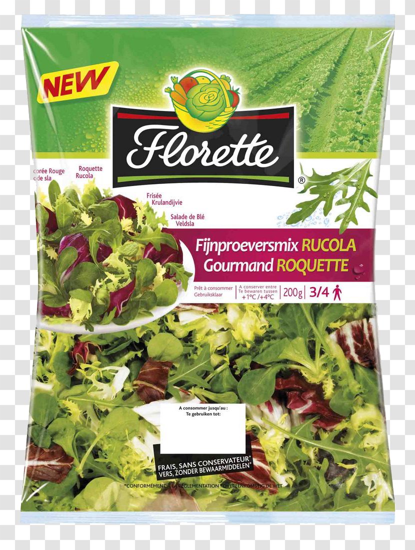 Spring Greens Vegetarian Cuisine Romaine Lettuce Herb - Superfood - Salad Transparent PNG