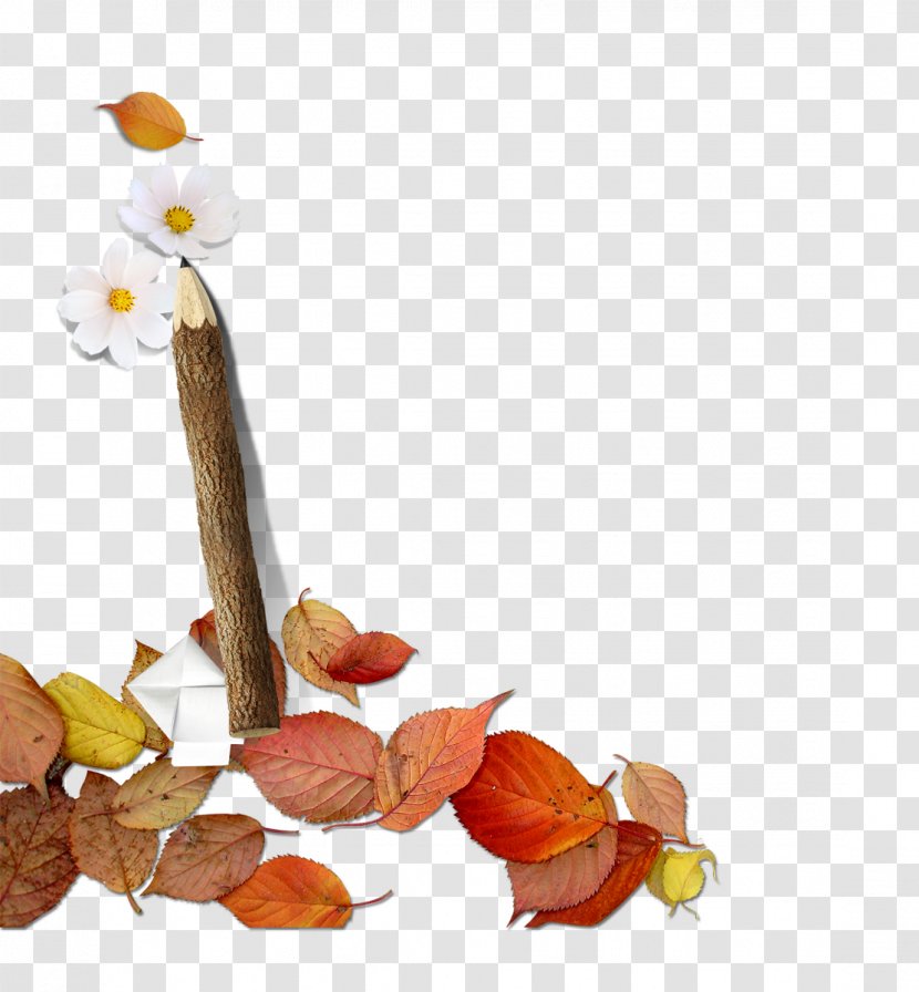 Leaf Autumn - Leaves Transparent PNG