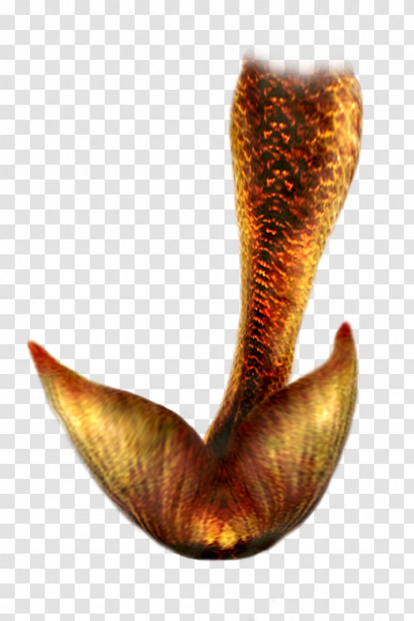 Mermaid Tail Clip Art - Document Transparent PNG