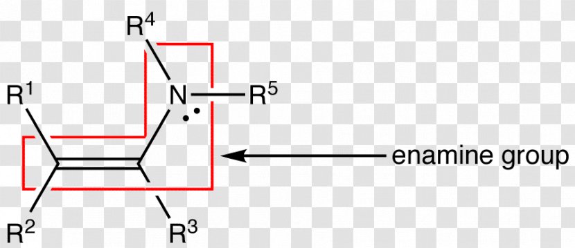 Stork Enamine Alkylation Nucleophile Functional Group Organic Chemistry - Michael Reaction - Base Transparent PNG