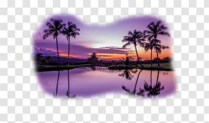 Puerto Rico High-definition Television Display Resolution 1080p Wallpaper - Computer - Palm Beach Transparent PNG