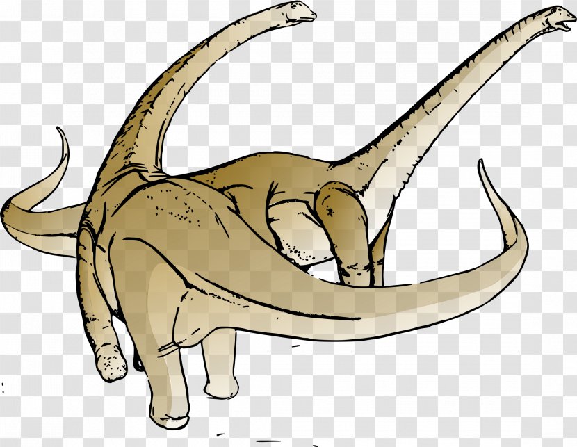 Alamosaurus Dinosaur Pictures Tyrannosaurus Clip Art - Fauna - Dinosaurs Transparent PNG