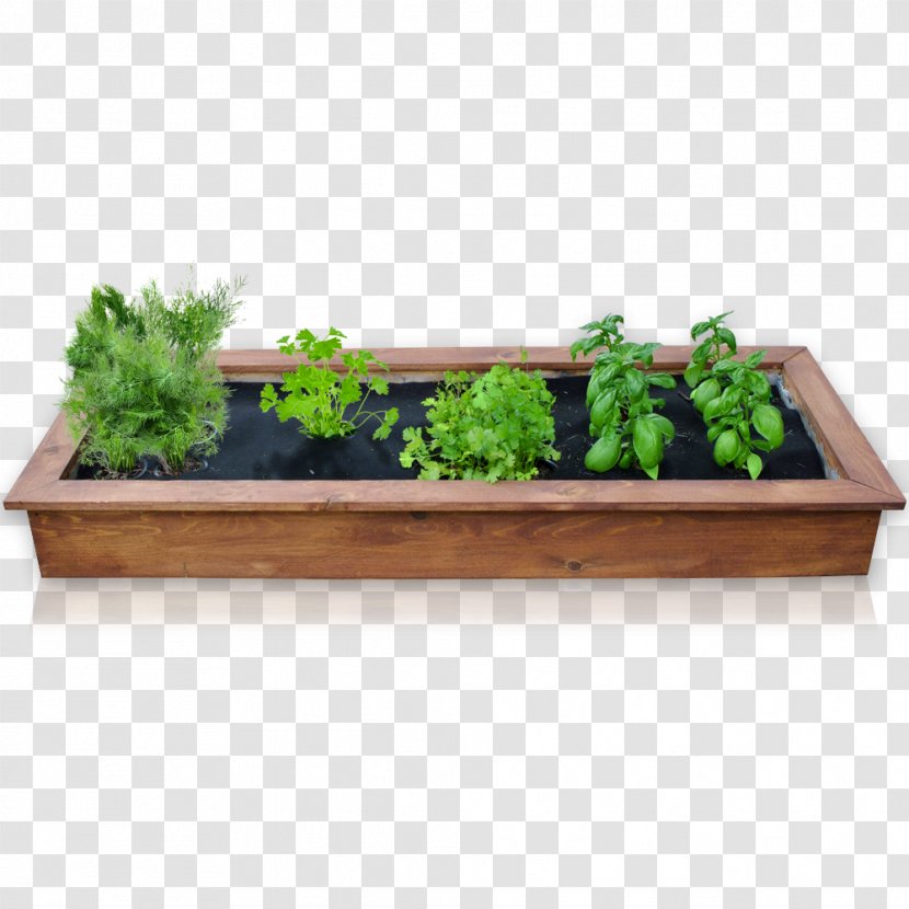 Herb Flowerpot Rectangle - Windowsill Transparent PNG