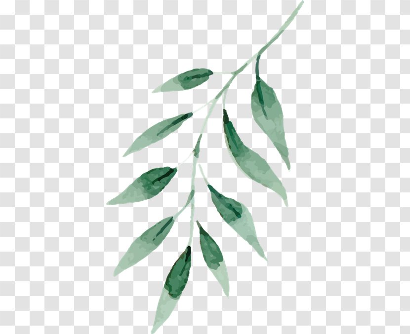 Watercolor Painting Drawing Green Leaf - Plant Stem - Geo Filter Transparent PNG