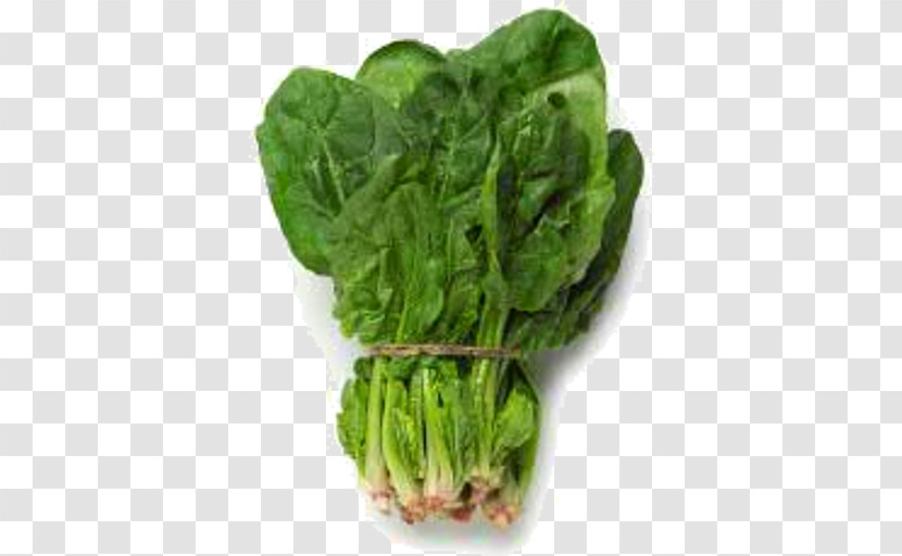 Leaf Vegetable Vegetable Chard Food Spinach Transparent PNG