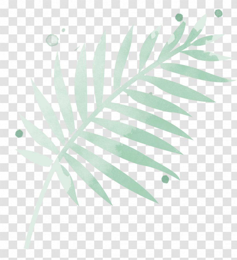 Arecaceae Leaf Plant Stem Line Branching - Arecales Transparent PNG