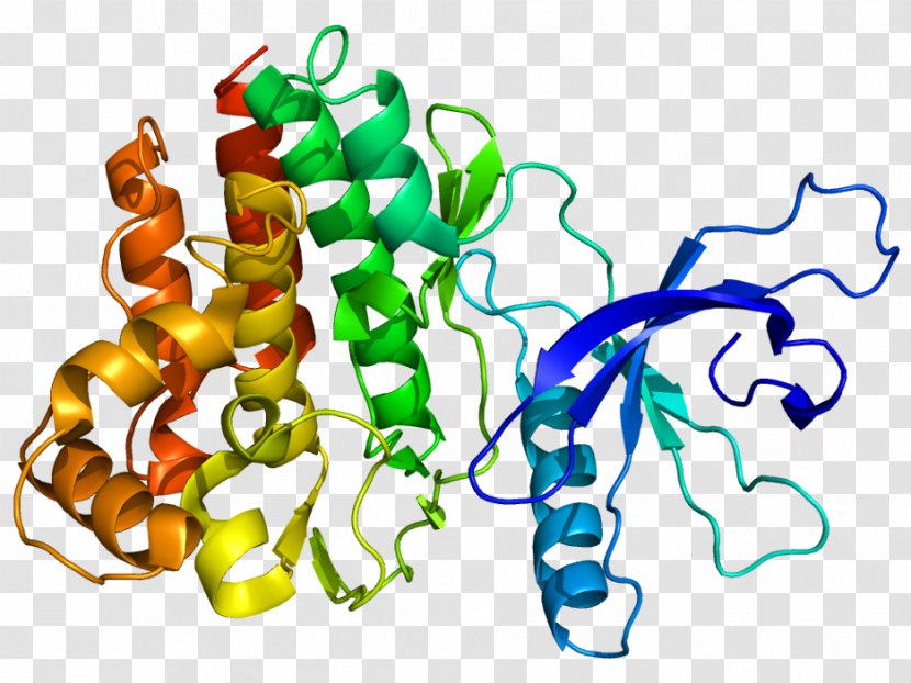 Janus Kinase 2 3 Inhibitor Tyrosine - Area - Pictures Of Children Helping Others Transparent PNG