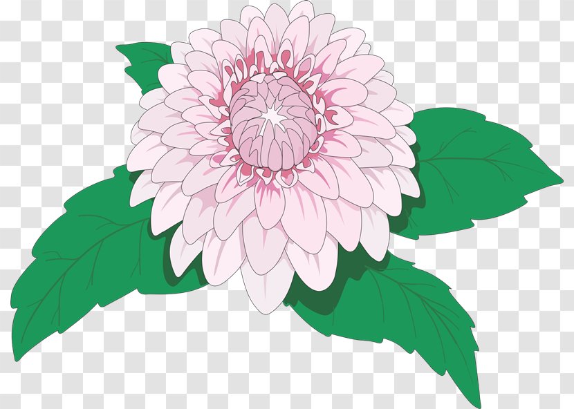 Flower Dahlia Rose - Daisy Family - Vhs Transparent PNG