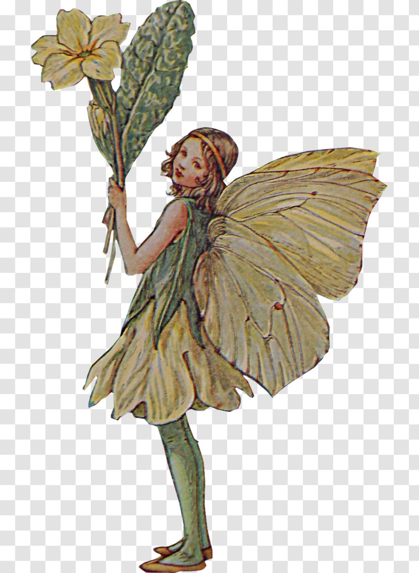 Fairy The Book Of Flower Fairies Pixie - Cicely Mary Barker Transparent PNG