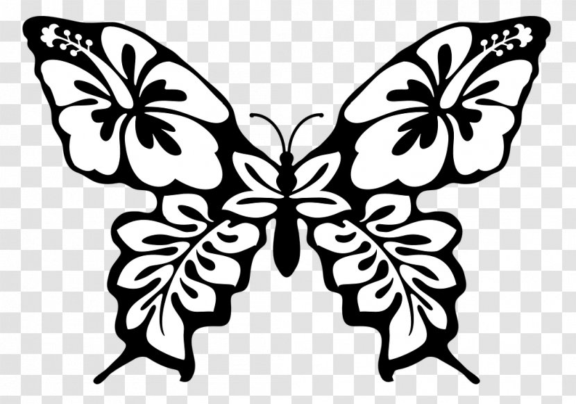 Line Art Drawing Flower Clip - Moths And Butterflies Transparent PNG
