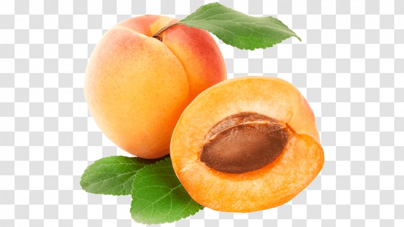 Apricot Food Peach Fruit Clip Art - Superfood Transparent PNG
