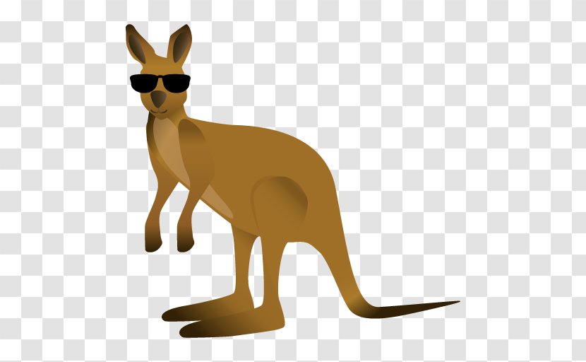 Kangaroo Macropodidae Red Fox Clip Art - Animal Figure - Australia Transparent PNG