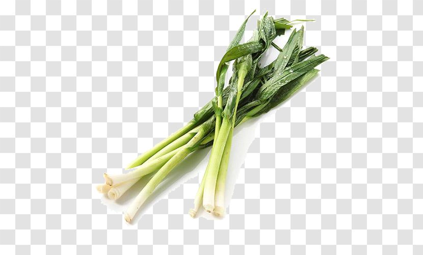 Allium Fistulosum Shallot Vegetarian Cuisine Leek Scallion - Choy Sum - Fresh Green Onions Transparent PNG