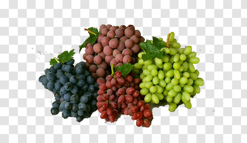 Grape Sultana Cabernet Sauvignon Seedless Fruit Wine - Superfood - Vines Transparent PNG