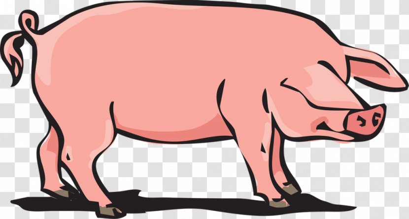 Domestic Pig Farming Clip Art - Farm - Porco Transparent PNG