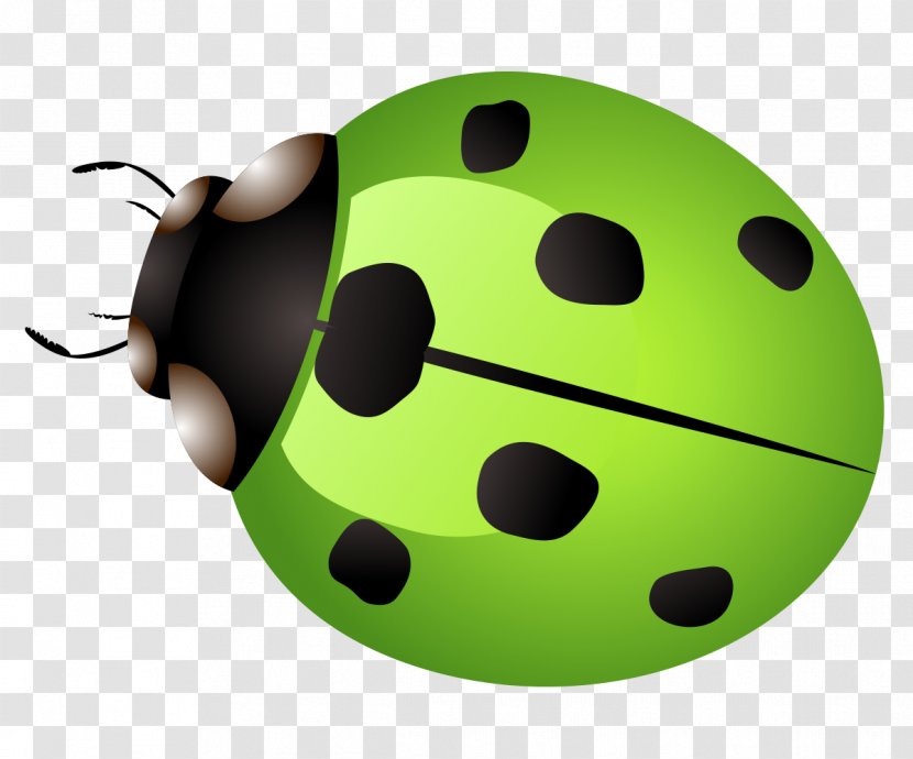 Ladybird Car Icon - World Wide Web - Vector Green Ladybug Transparent PNG