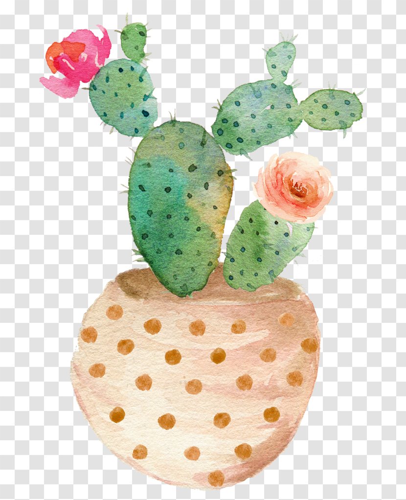 Succulent Plant Watercolor Painting Printing Cactaceae - Canvas - Sen Department Aesthetic Cactus Transparent PNG