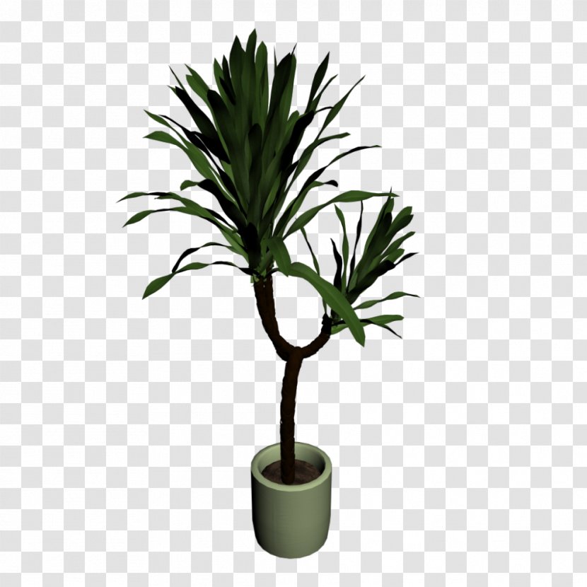 Yucca Filamentosa Houseplant Plant Stem Flowerpot - Arecales - Pot Transparent PNG