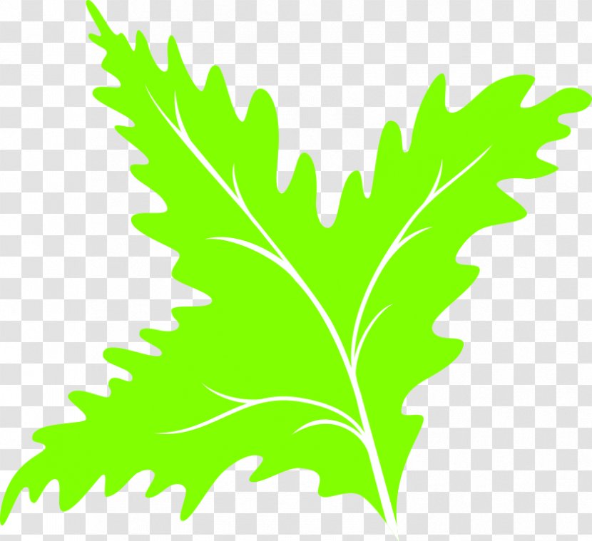 Leaf Green Clip Art - Scalable Vector Graphics - Icon Transparent PNG