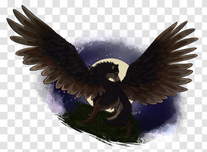 Eagle Beak Feather Angel M - Bird Of Prey - Fly Away Transparent PNG