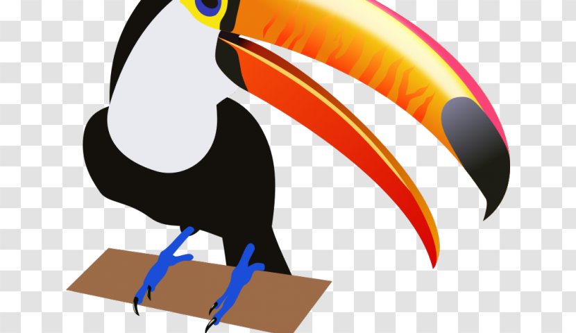 Bird Toucan Parrot Clip Art Beak - Clydesdales Transparent PNG