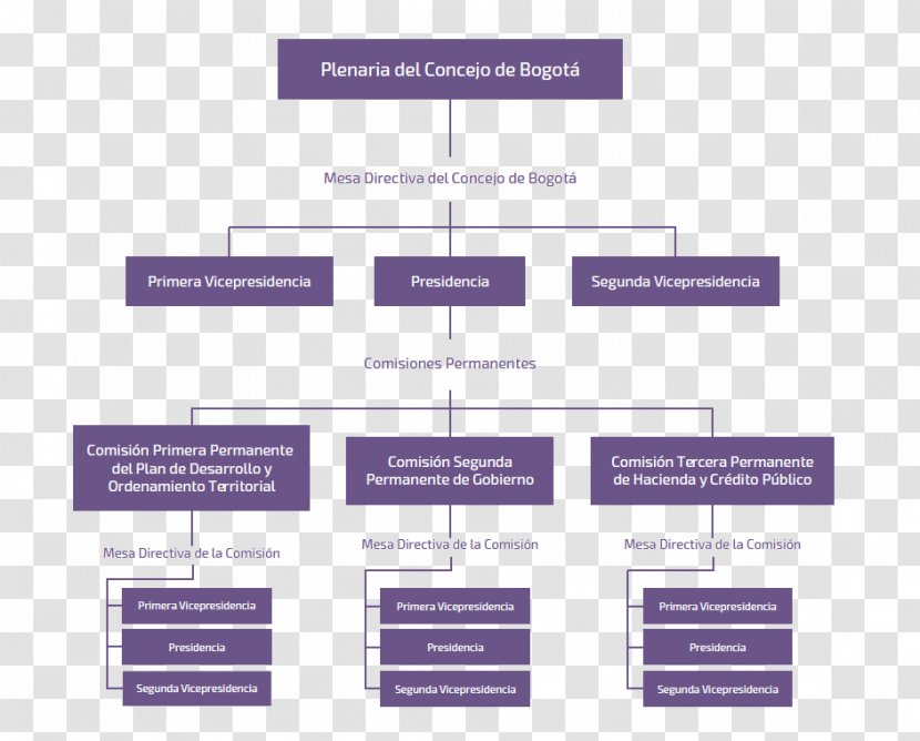 Bogotá City Council Organizational Chart Business Administration - Authority Transparent PNG