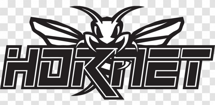 Bald-faced Hornet Logo Insect Kite - Visual Arts - Mascot Transparent PNG