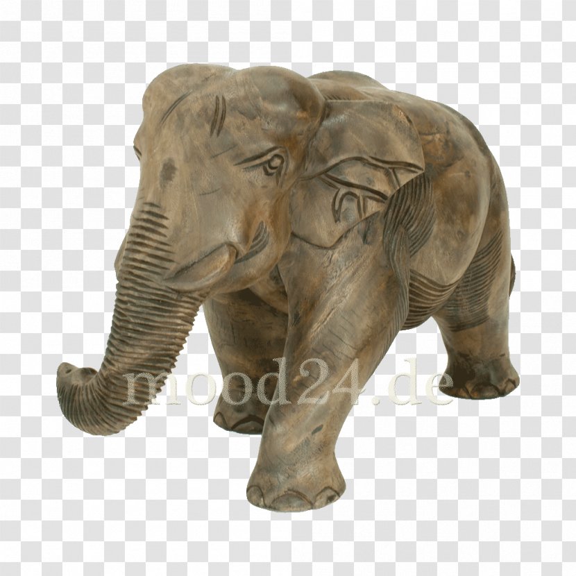 Indian Elephant African Tusk Wildlife Elephantidae - Snout - India Transparent PNG