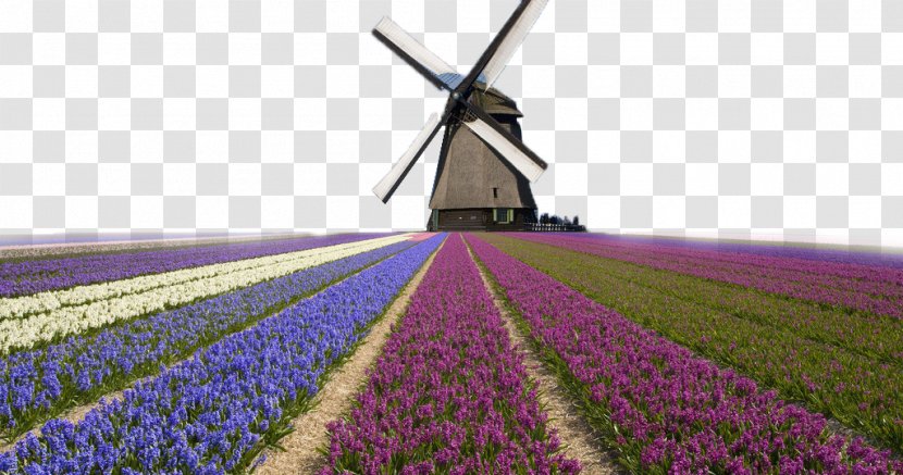 Kinderdijk Windmills In Holland Tilting At Wallpaper - Computer - Pretty Far From The House Netherlands Transparent PNG